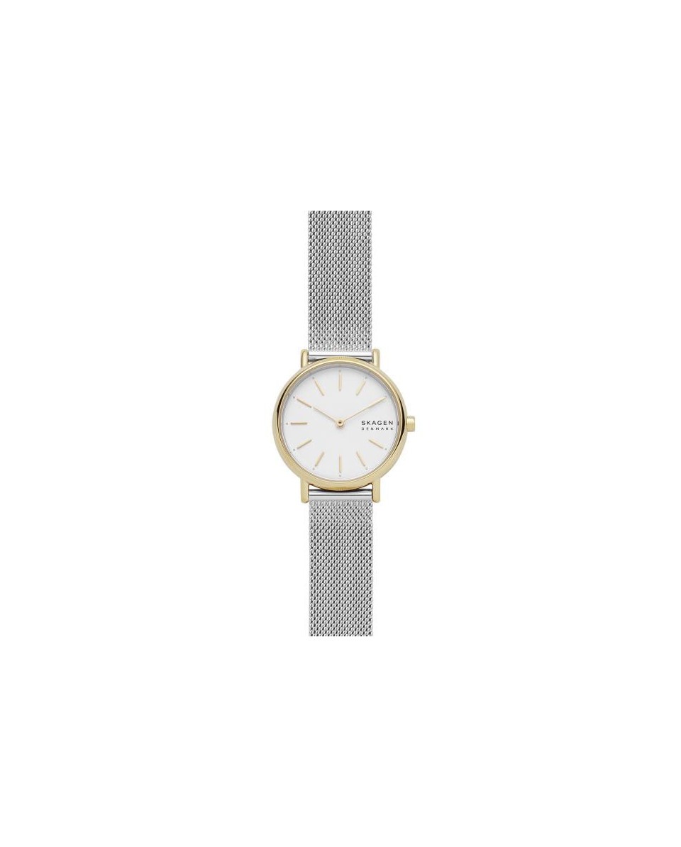 Skagen Bracelete do Relogio Skagen SIGNATUR SKW2910