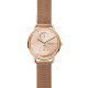 Skagen Cinturino da Orologio Skagen HORIZONT SKW2931