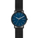 Skagen Armbander für Uhr Skagen SIGNATUR SKW6655