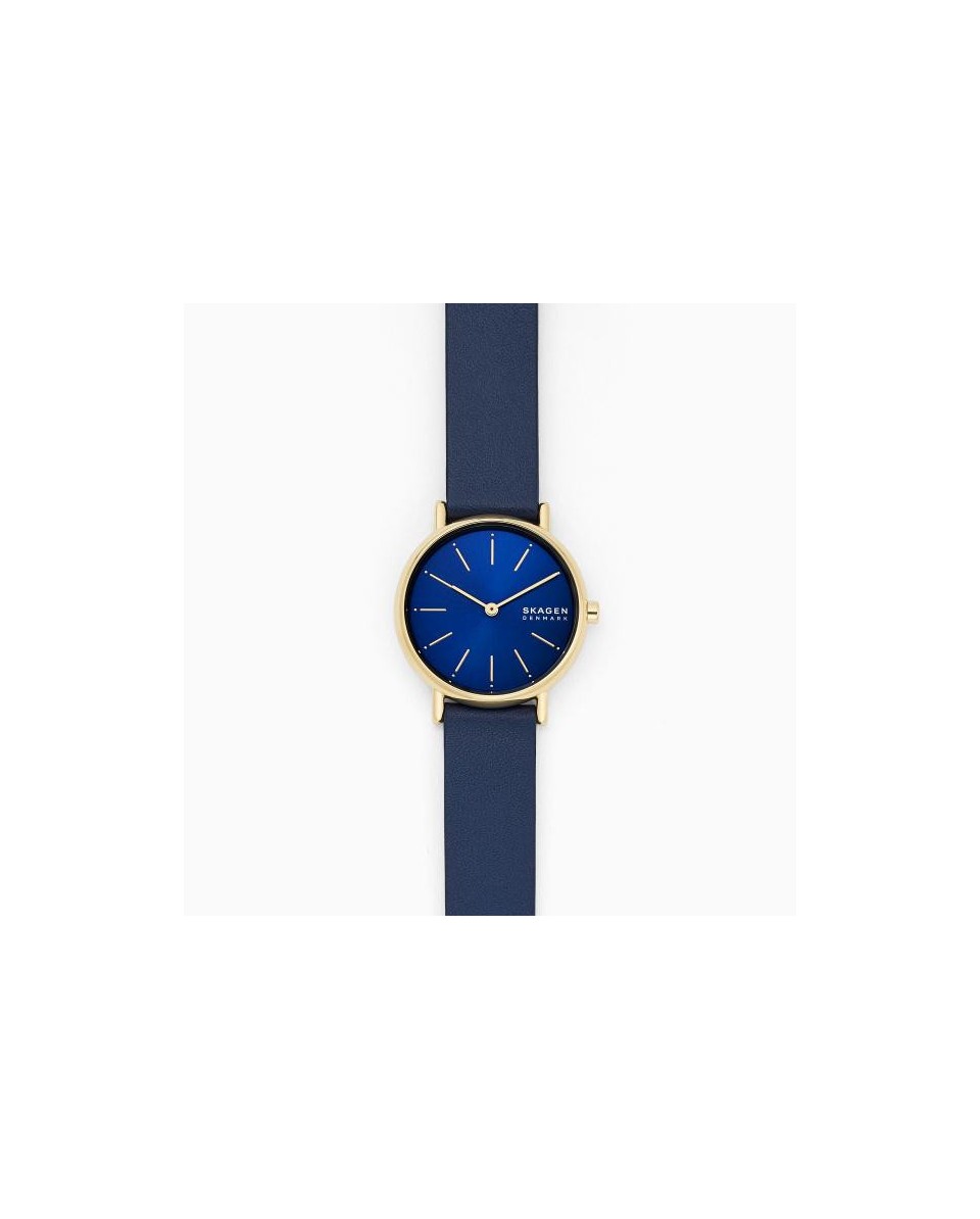 Skagen Armbander für Uhr Skagen SIGNATUR SKW2867