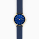 Skagen ремешок для часы Skagen SIGNATUR SKW2867