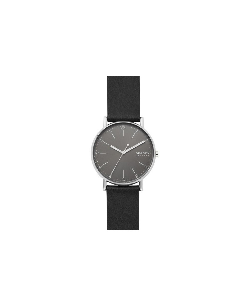 Skagen Cinturino da Orologio Skagen SIGNATUR SKW6654