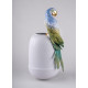 Macaw bird vase Lladró Porcelain 01009540