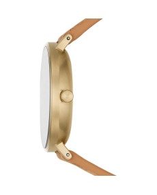 Skagen  AAREN NATURALS SKW2974