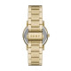 Buy Watch DKNY STAINLESS STEEL NY2969