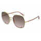 Gafas de Sol Chloé CH0042S-004