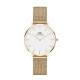 Buy Daniel Wellington Petite Evergold DW00100348 Watch 