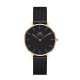 Daniel Wellington Petite Ashfield DW00100307: eleganza senza tempo.