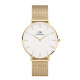 Buy Daniel Wellington Petite Evergold DW00100346 Watch 