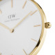 Daniel Wellington Petite Evergold DW00100350