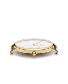 Daniel Wellington Petite Evergold DW00100348