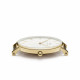 Daniel Wellington Petite Evergold DW00100348