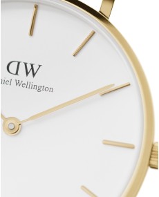 Daniel Wellington Petite Evergold DW00100348