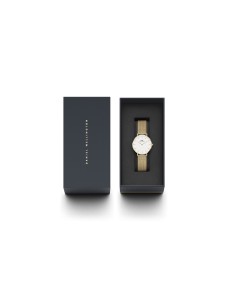 Daniel Wellington Petite Evergold DW00100348