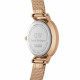 Daniel Wellington Petite Pressed Melrose DW00100447