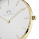 Daniel Wellington Petite Evergold DW00100346