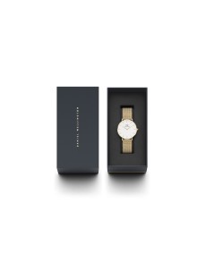 Daniel Wellington Petite Evergold DW00100346