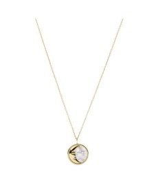 Fossil Necklace STAINLESS STEEL JF03883710 - TicTacArea