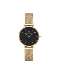 Buy Daniel Wellington EVERGOLD DW00100349 Watch 