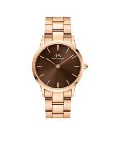 Buy Daniel Wellington AMBER DW00100461 Watch 