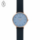 Skagen Cinturino da Orologio Skagen AAREN NATURALS SKW2972