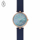 Skagen Bracelete do Relogio Skagen KAROLINA SKW2981