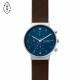 Skagen Cinturino da Orologio Skagen ANCHER SKW6765