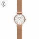 Skagen Cinturino da Orologio Skagen AMBERLINE SKW2955