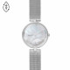 Skagen ремешок для часы Skagen KAROLINA SKW2979