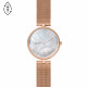 Skagen Bracelete do Relogio Skagen KAROLINA SKW2980