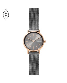 Skagen Armbander für Uhr Skagen SIGNATUR LILLE SKW2996