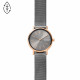 Skagen Bracelete do Relogio Skagen SIGNATUR LILLE SKW2996