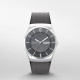 Skagen Bracelete do Relogio Skagen MELBYE SKW6790