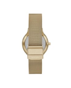 Skagen Stainless Steel SKW3027 Watch - TicTacArea