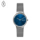 Skagen Stainless Steel SKW3028 Watch - TicTacArea