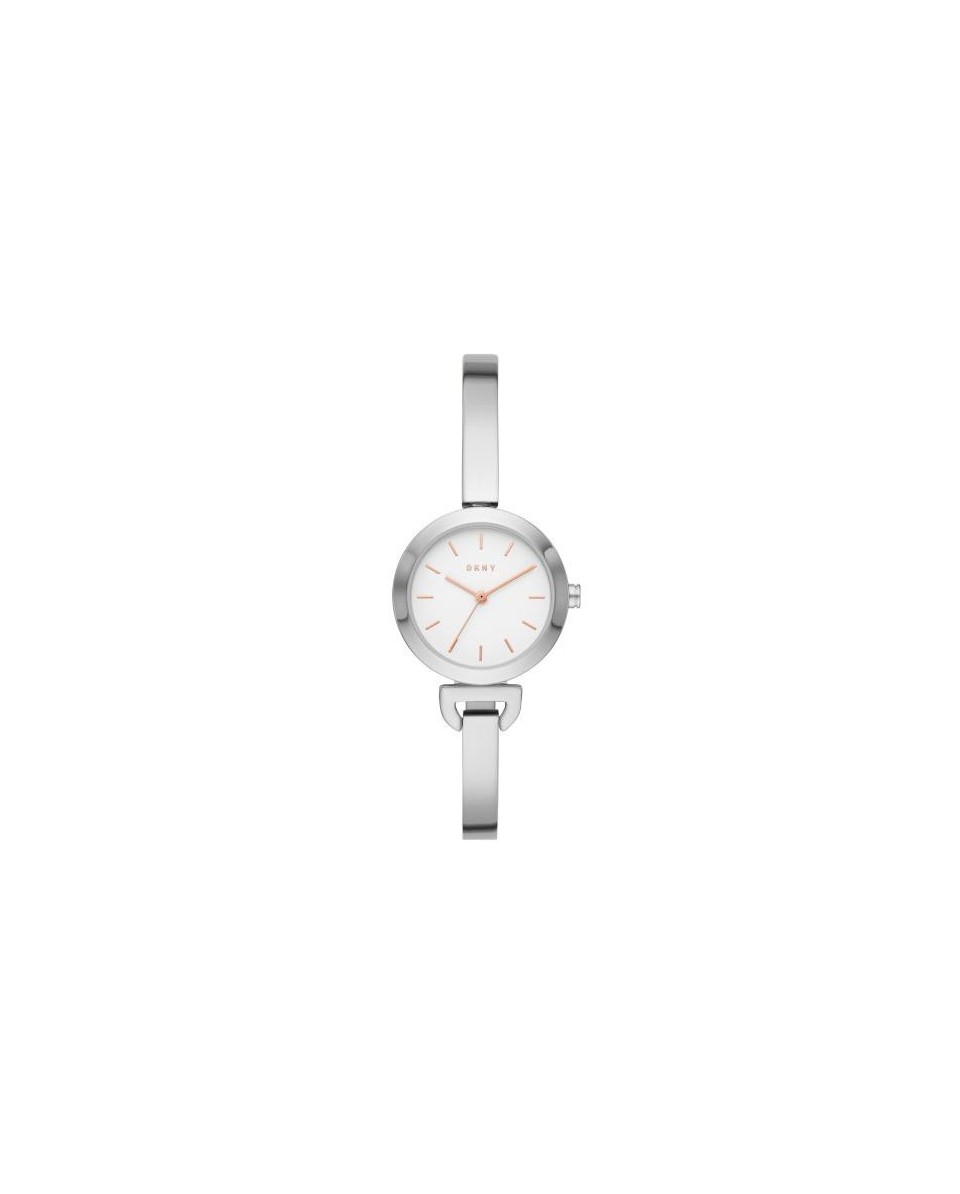 Buy Watch DKNY STAINLESS STEEL NY2991