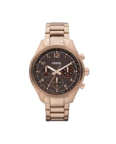 Fossil CH2793 Bracelet pour Montre CH2793