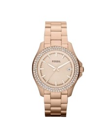 Fossil AM4454 Bracelet pour Montre AM4454