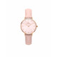 Daniel Wellington Petite Rouge DW00100511 - TicTacArea.com