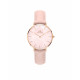 Buy Daniel Wellington Petite Rouge DW00100514 Watch 