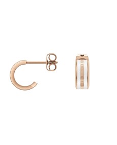 Boucles d'oreilles Daniel Wellington EMALIE DW00400148