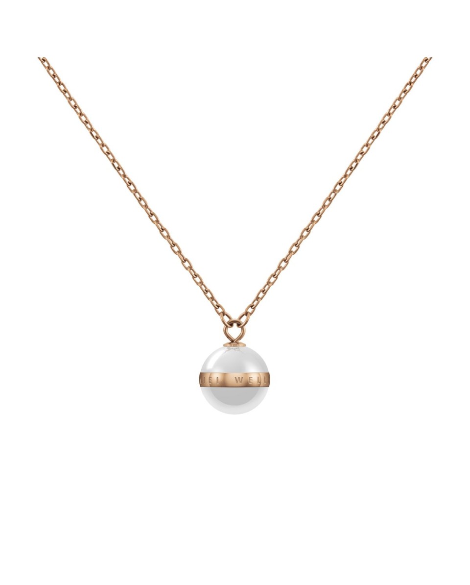 Daniel Wellington Necklace ASPIRATION DW00400157