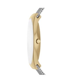 Skagen Stainless Steel SKW6816 Watch - TicTacArea