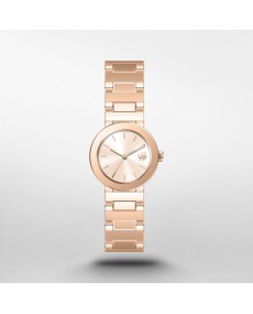 Buy Watch DKNY STAINLESS STEEL NY6608