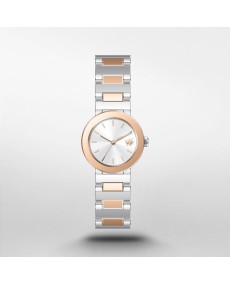 Buy Watch DKNY STAINLESS STEEL NY6609