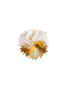 Actinia brooch (white-gold) Lladró ФАРФОР 01010291  