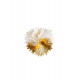 Actinia Brooch White-Gold Lladro Porcelain 01010291