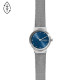 Skagen Stainless Steel SKW2920 Watch - TicTacArea