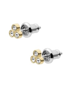 Fossil Boucle d oreille STAINLESS STEEL JF04110710 - TicTacArea