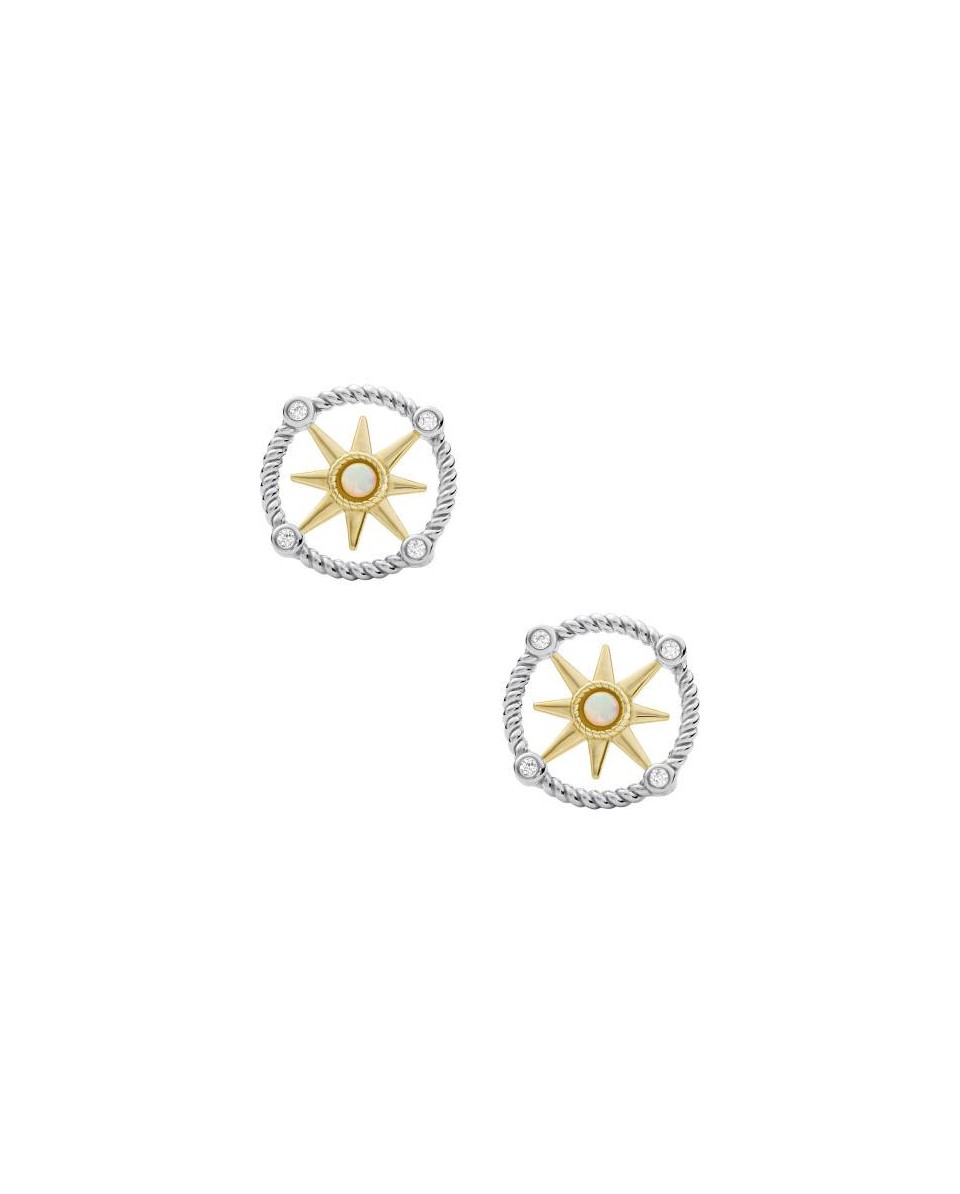 Fossil Boucle d oreille STERLING SILVER JFS00574998 - TicTacArea